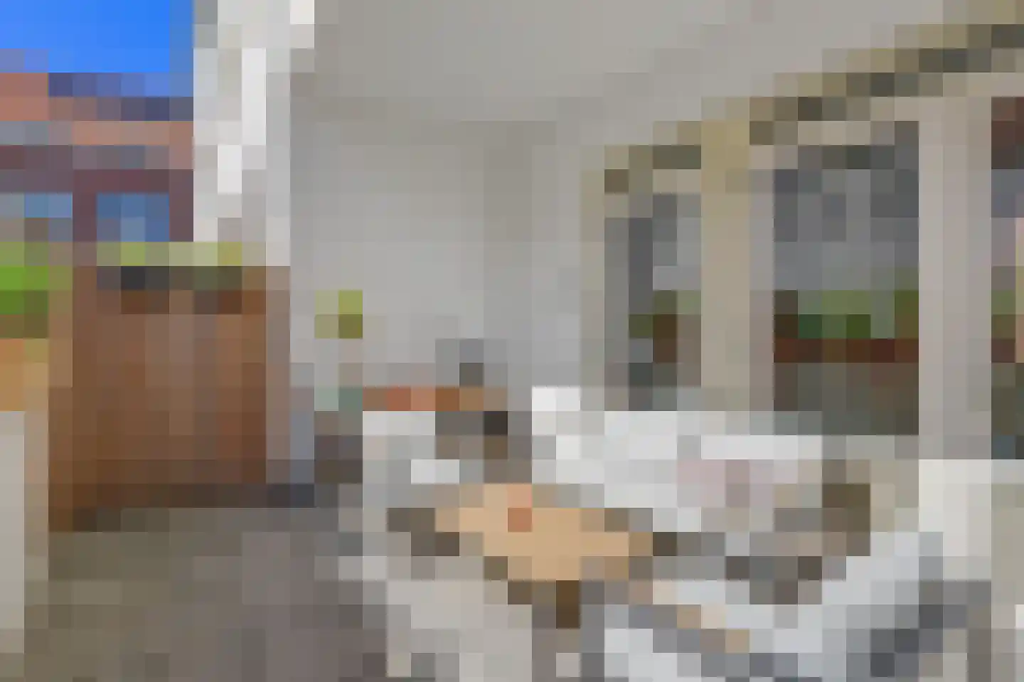 Lichtenberg 8 Venlo thumbnail 22