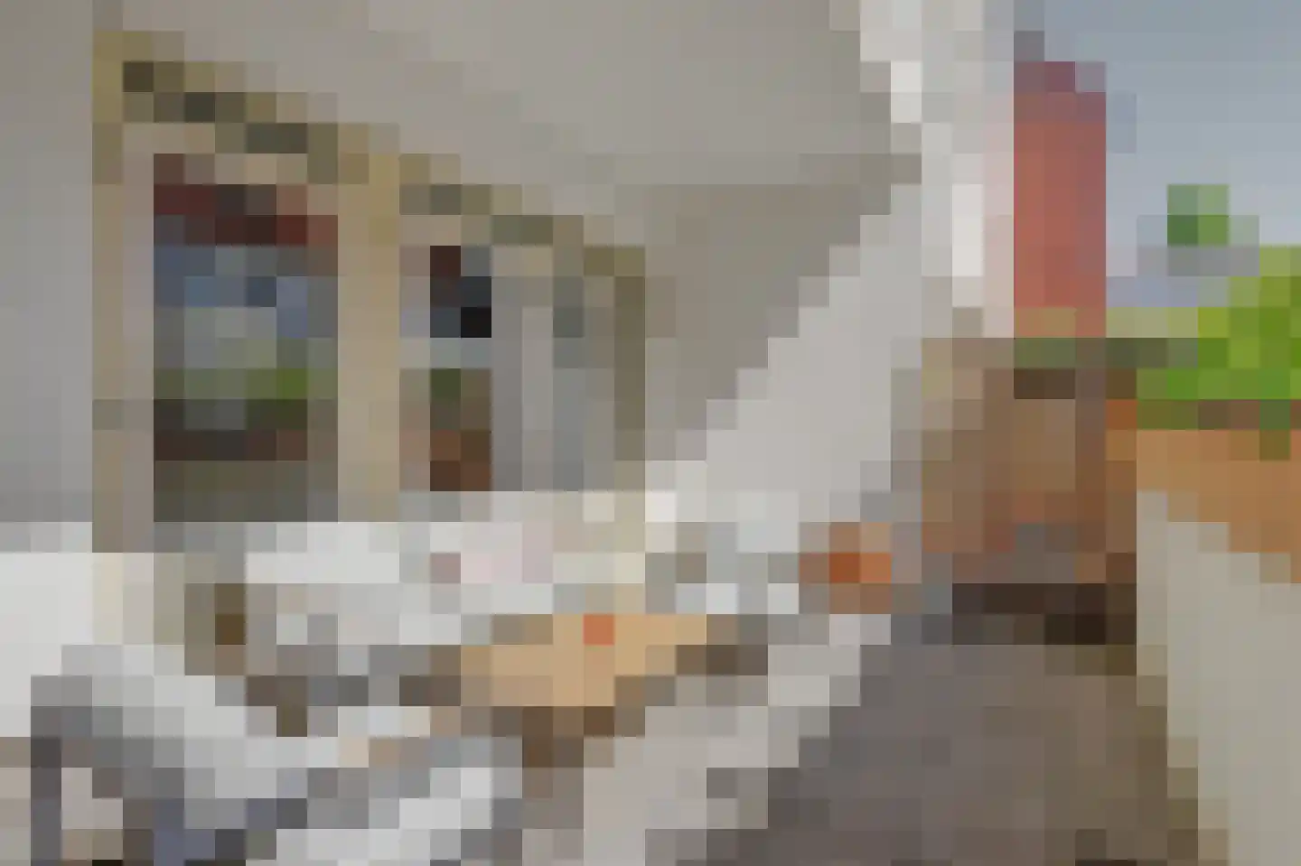 Lichtenberg 8 Venlo thumbnail 23
