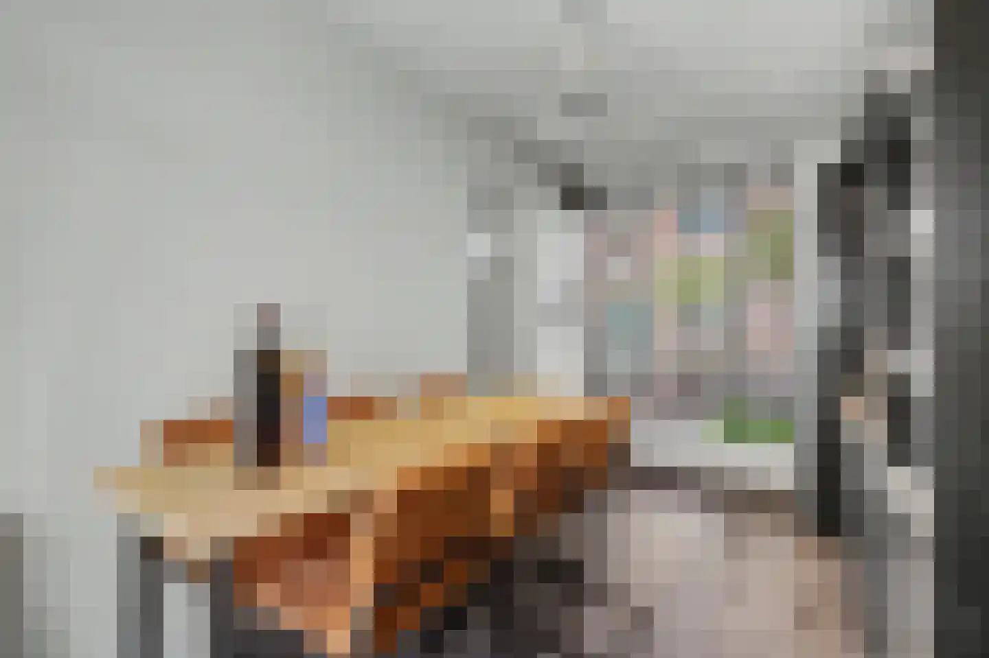 Lichtenberg 8 Venlo thumbnail 5