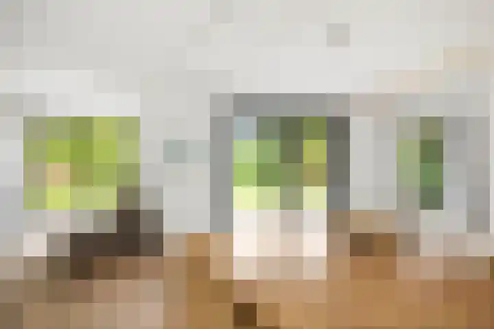 Lichtenbergerlaan 10 Diepenveen thumbnail 10