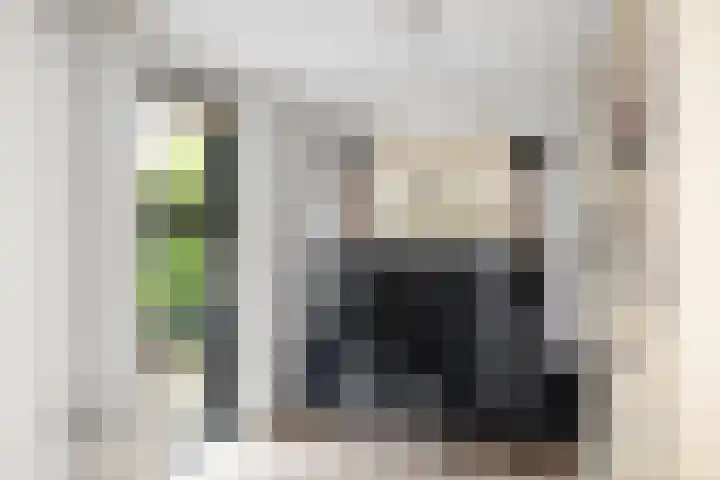 Lichtenbergerlaan 10 Diepenveen thumbnail 14