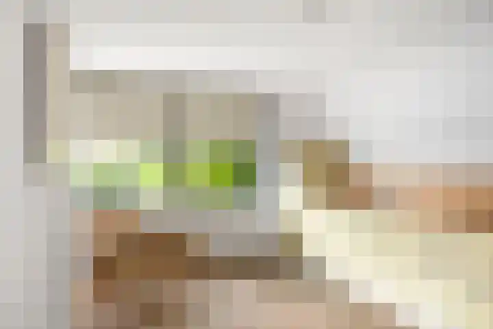 Lichtenbergerlaan 10 Diepenveen thumbnail 15