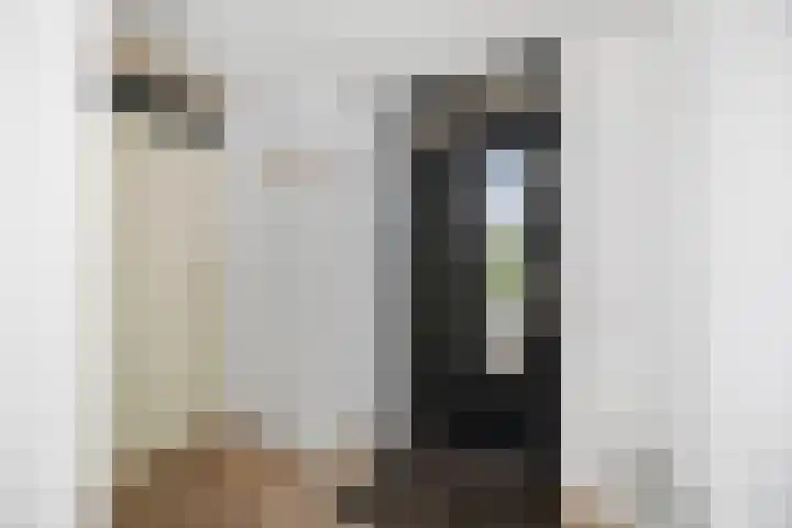 Lichtenbergerlaan 10 Diepenveen thumbnail 18