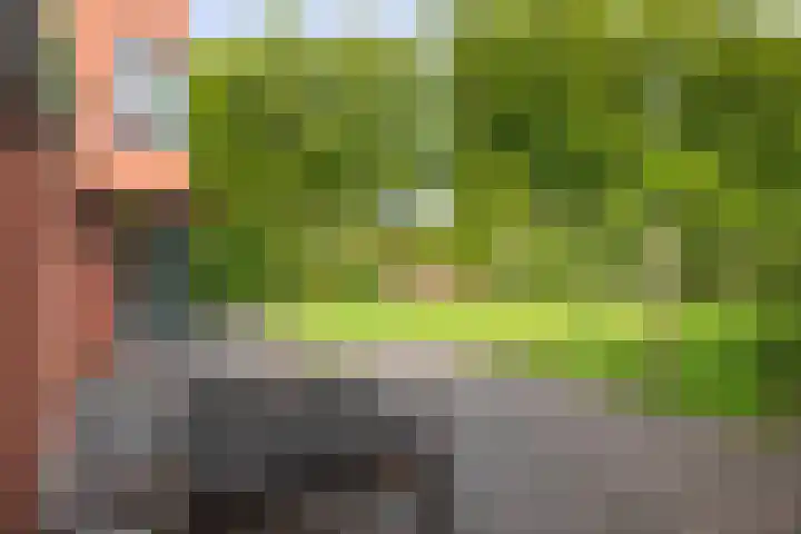 Lichtenbergerlaan 10 Diepenveen thumbnail 33