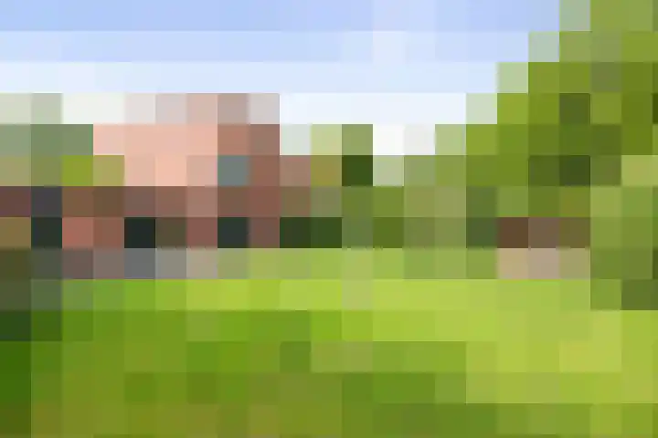Lichtenbergerlaan 10 Diepenveen thumbnail 36