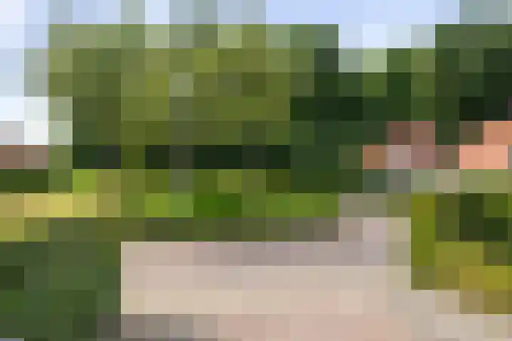 Lichtenbergerlaan 10 Diepenveen thumbnail 39