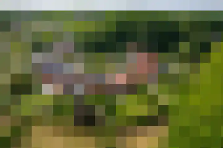 Lichtenbergerlaan 10 Diepenveen thumbnail 4