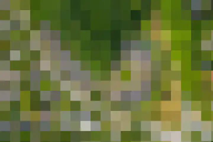 Lichtenbergerlaan 10 Diepenveen thumbnail 41