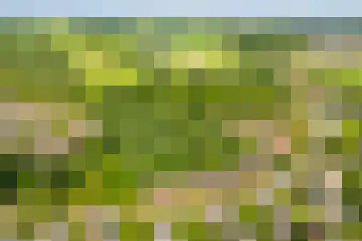 Lichtenbergerlaan 10 Diepenveen thumbnail 42