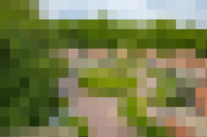 Lichtenbergerlaan 10 Diepenveen thumbnail 43
