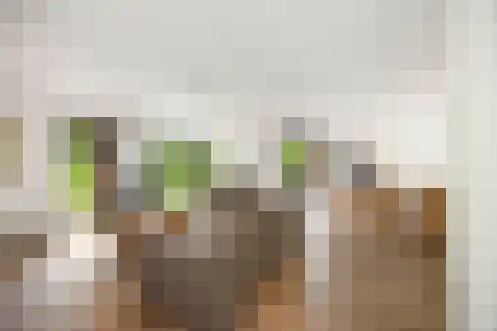 Lichtenbergerlaan 10 Diepenveen thumbnail 6