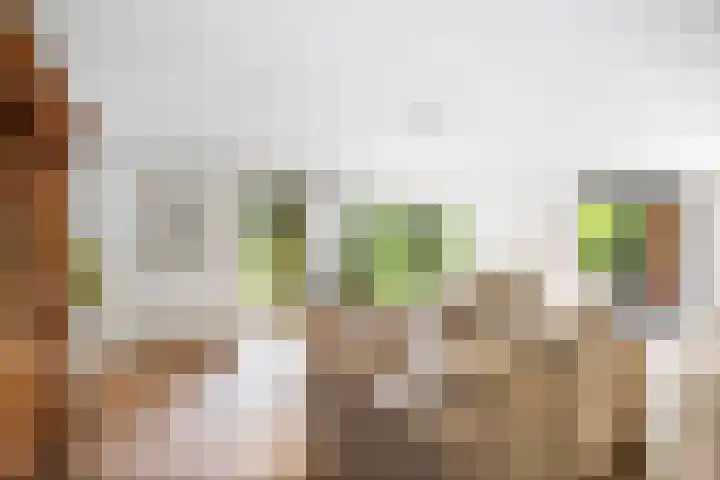 Lichtenbergerlaan 10 Diepenveen thumbnail 8