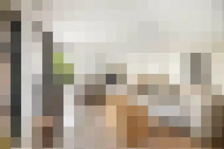 Lichtenbergerlaan 10 Diepenveen thumbnail 9