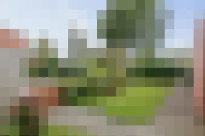 Lichtenbergerlaan 20 Diepenveen thumbnail 26
