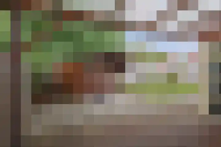 Lichtenbergerlaan 20 Diepenveen thumbnail 30