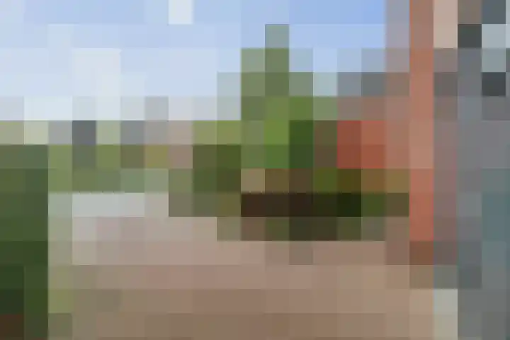 Lichtenbergerlaan 20 Diepenveen thumbnail 32