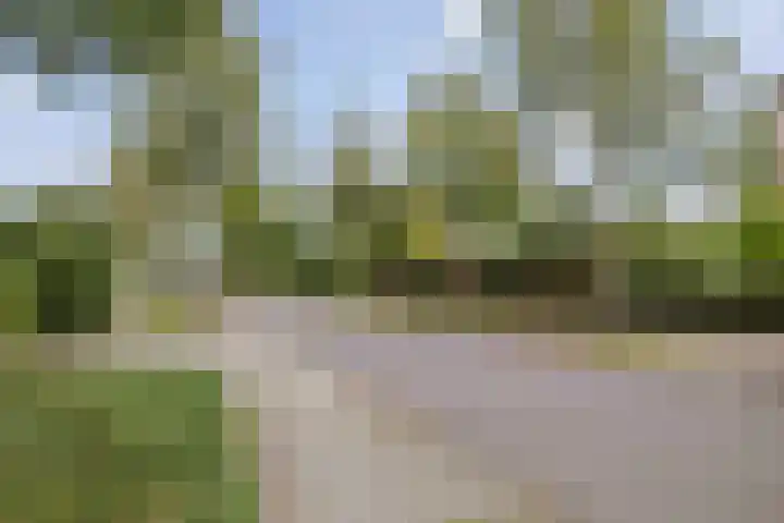 Lichtenbergerlaan 20 Diepenveen thumbnail 34