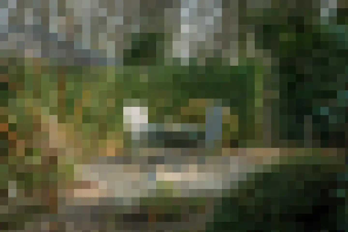 Lichtenbergerlaan 28 Diepenveen thumbnail 31