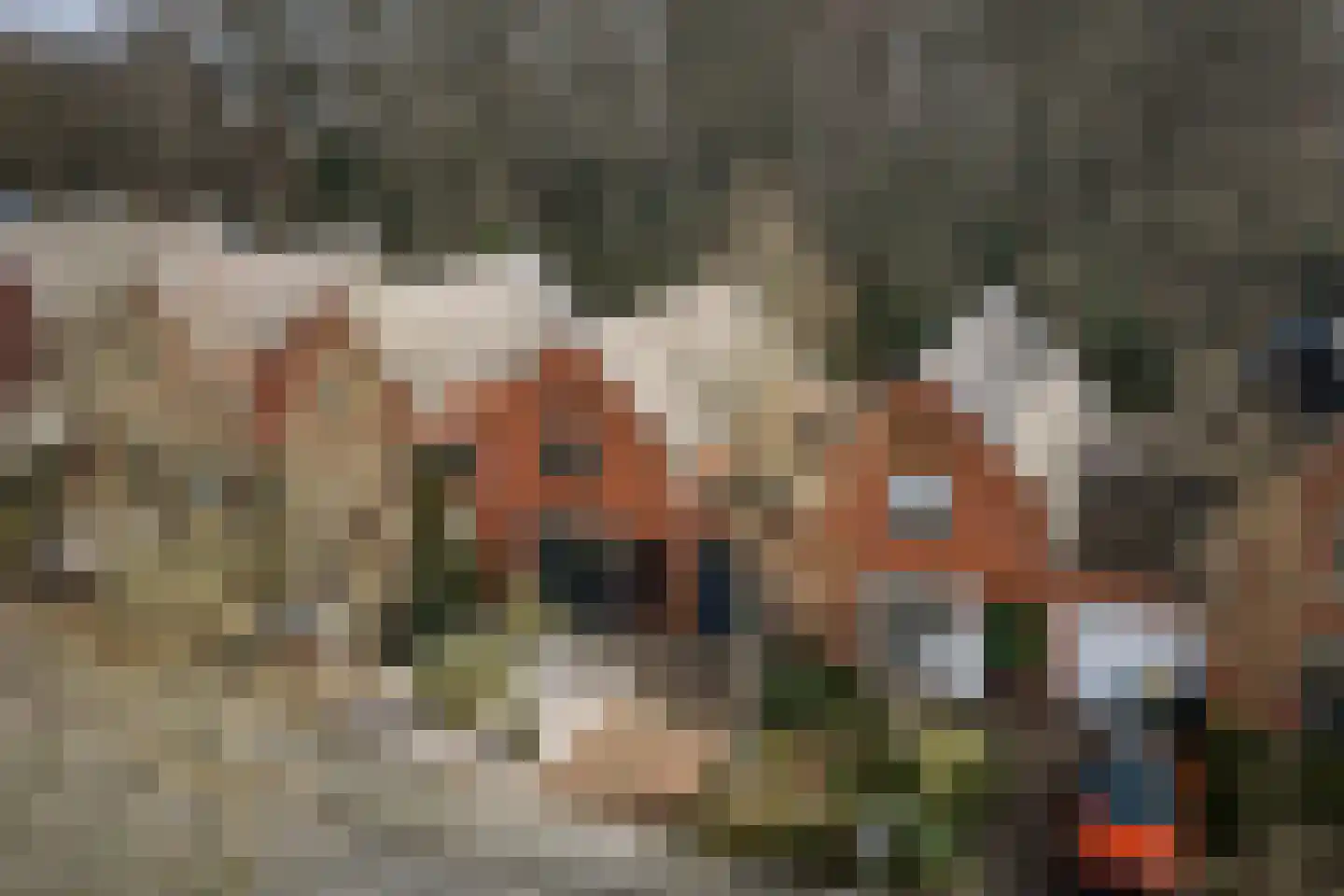Lichtenbergerlaan 28 Diepenveen thumbnail 38