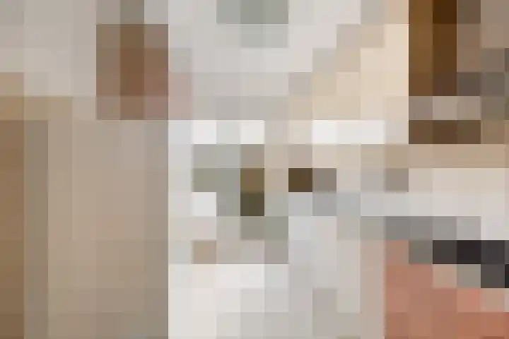 Lichtenberglaan 15 De Meern thumbnail 18