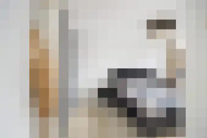 Lichtenberglaan 15 De Meern thumbnail 29