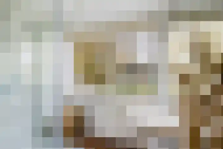 Lichtenberglaan 15 De Meern thumbnail 34