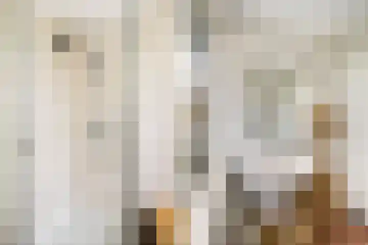 Lichtenberglaan 15 De Meern thumbnail 36