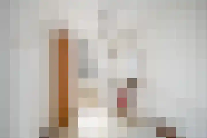 Lichtenberglaan 15 De Meern thumbnail 44