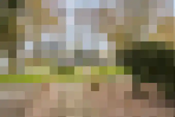 Lichtenberglaan 15 De Meern thumbnail 53