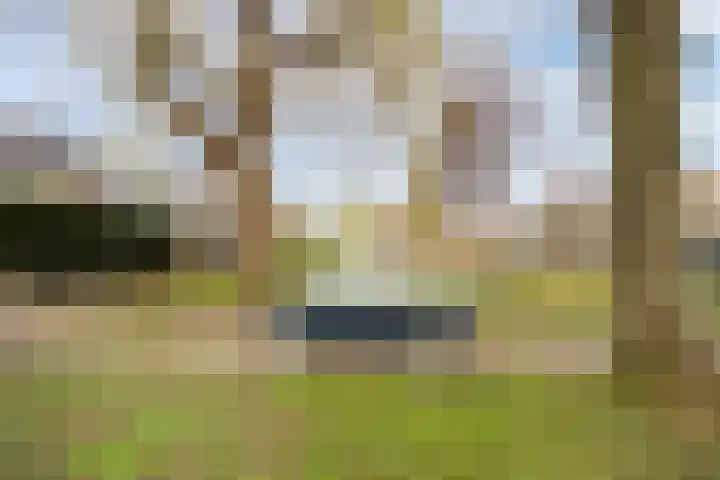 Lichtenberglaan 15 De Meern thumbnail 57