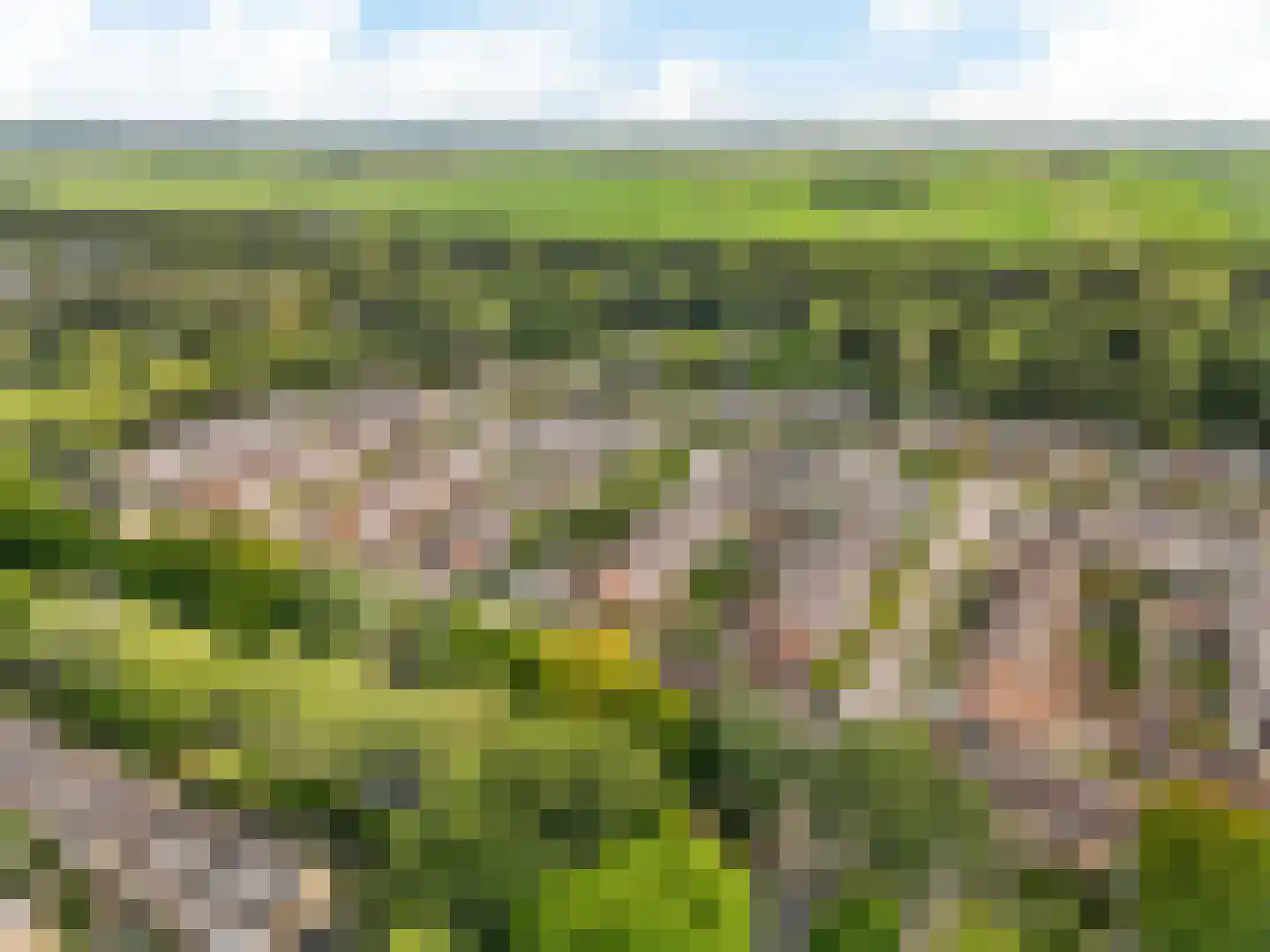 Lichtenberglaan 33 De Meern thumbnail 40