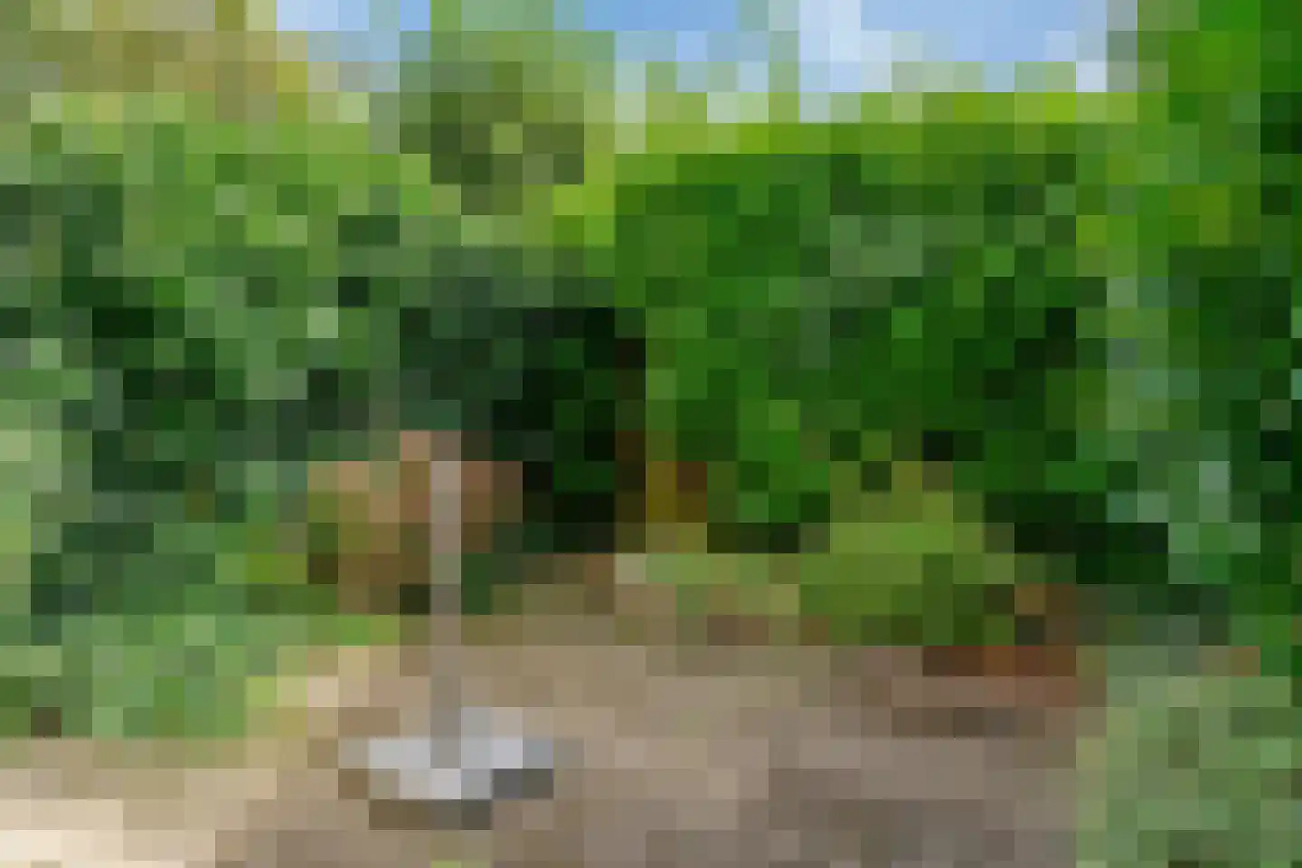 Lichtenberglaan 33 De Meern thumbnail 6