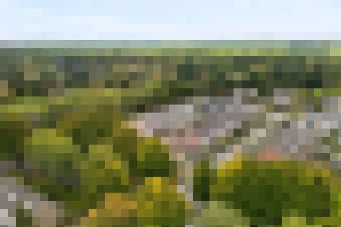 Lichtenberglaan 51 De Meern thumbnail 50