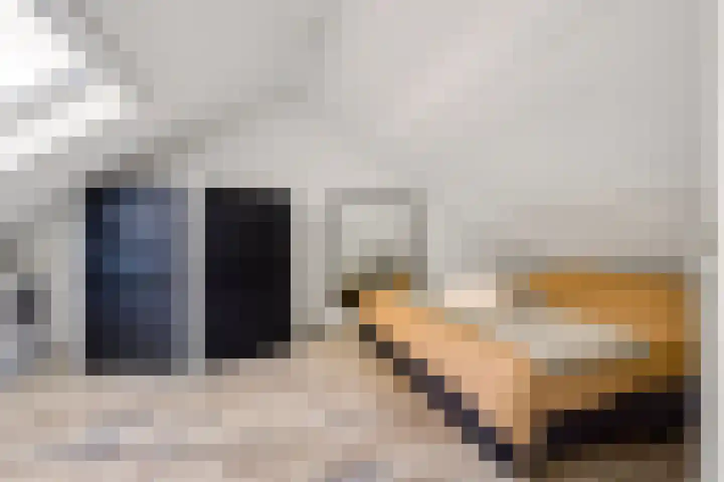Lichtenberglaan 57 De Meern thumbnail 38
