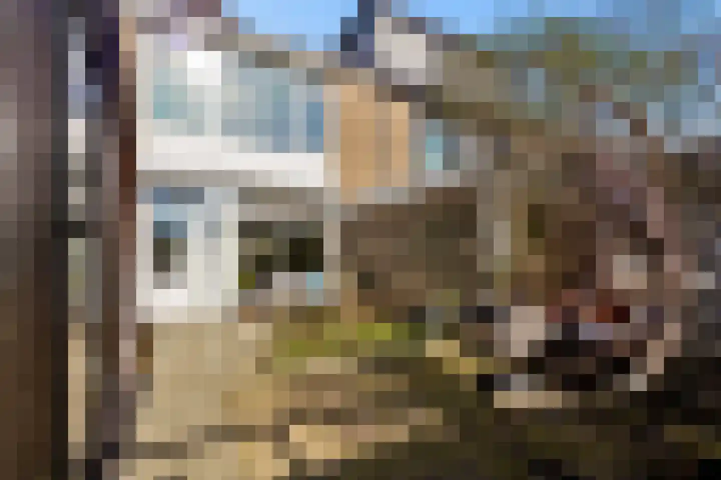 Lichtenberglaan 57 De Meern thumbnail 43