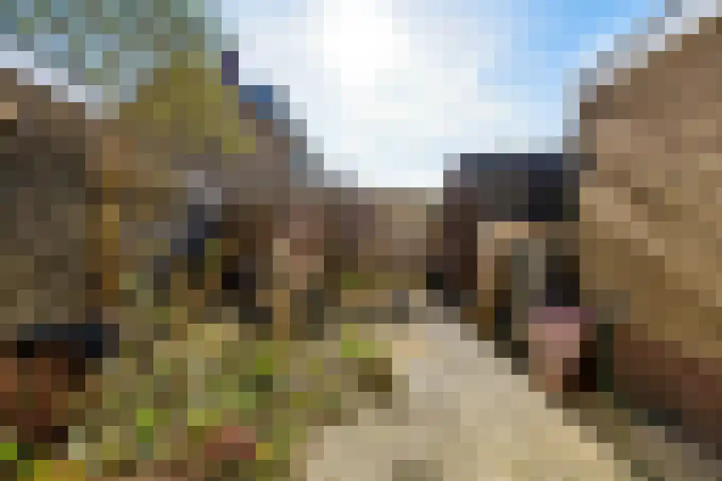 Lichtenberglaan 57 De Meern thumbnail 46
