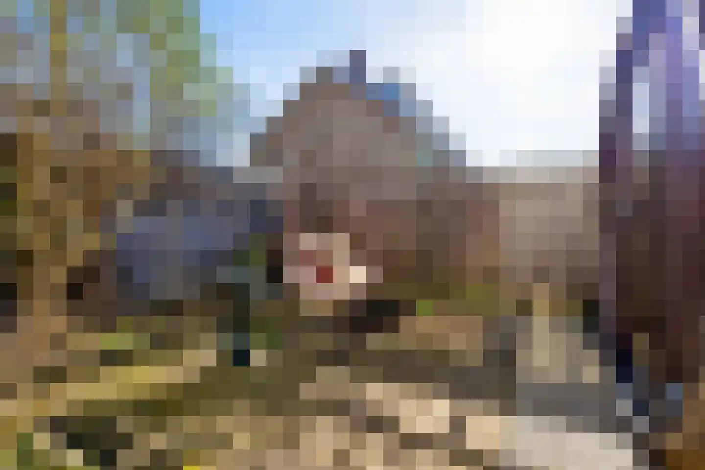 Lichtenberglaan 57 De Meern thumbnail 50