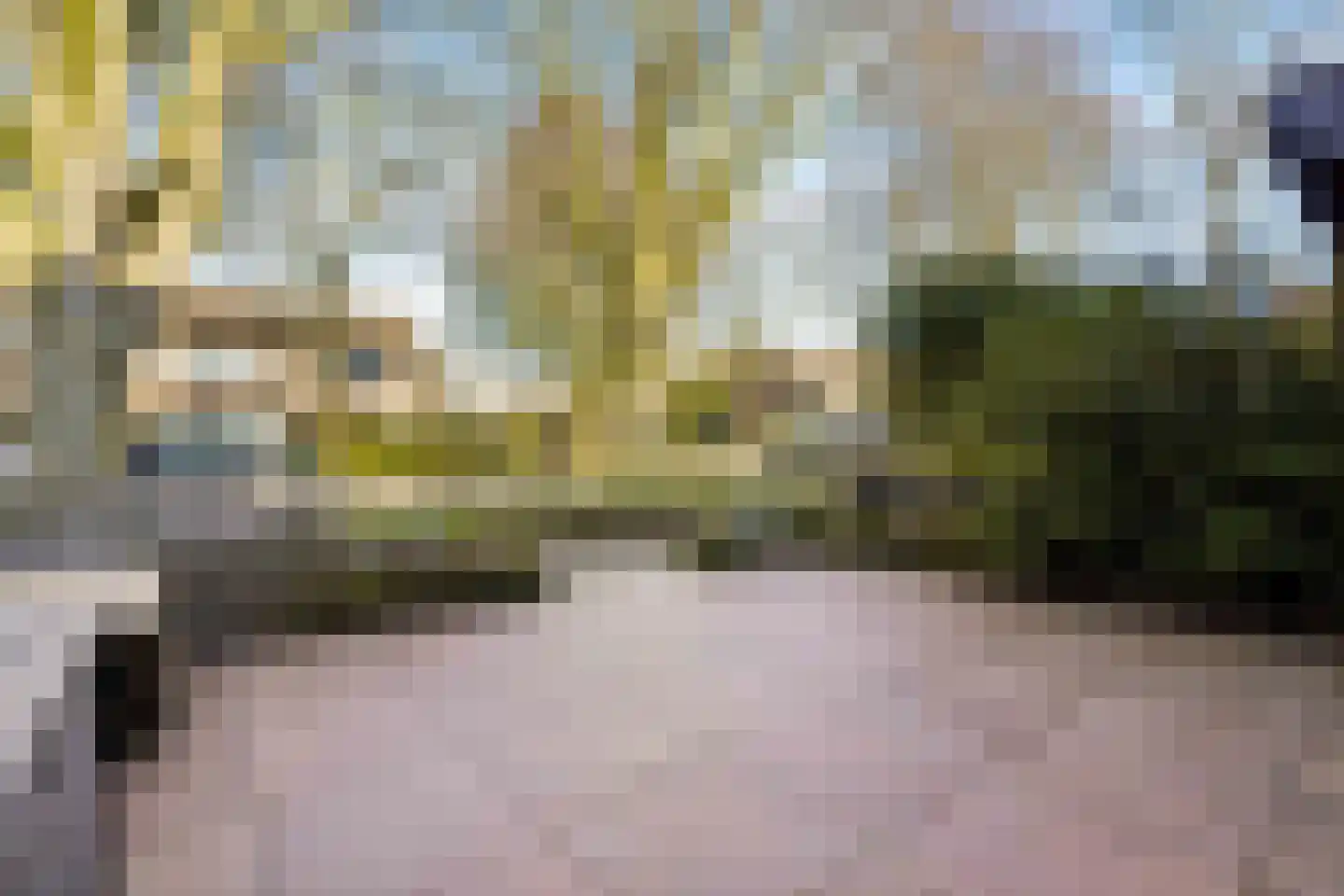 Lichtenberglaan 57 De Meern thumbnail 52