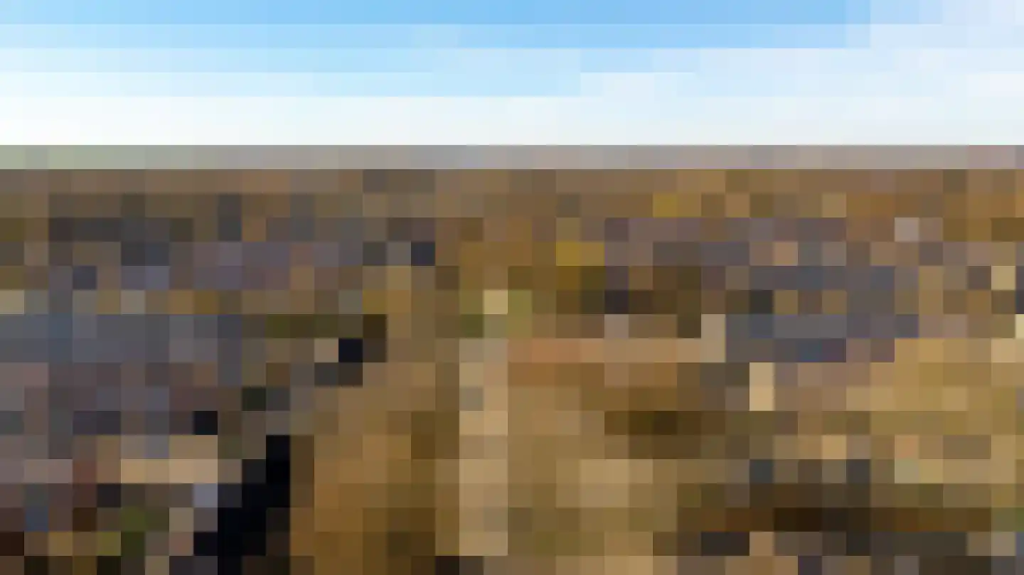 Lichtenberglaan 57 De Meern thumbnail 59