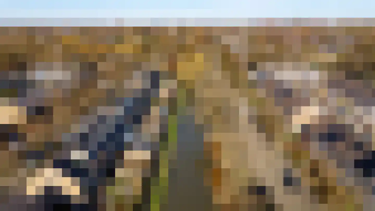 Lichtenberglaan 57 De Meern thumbnail 61