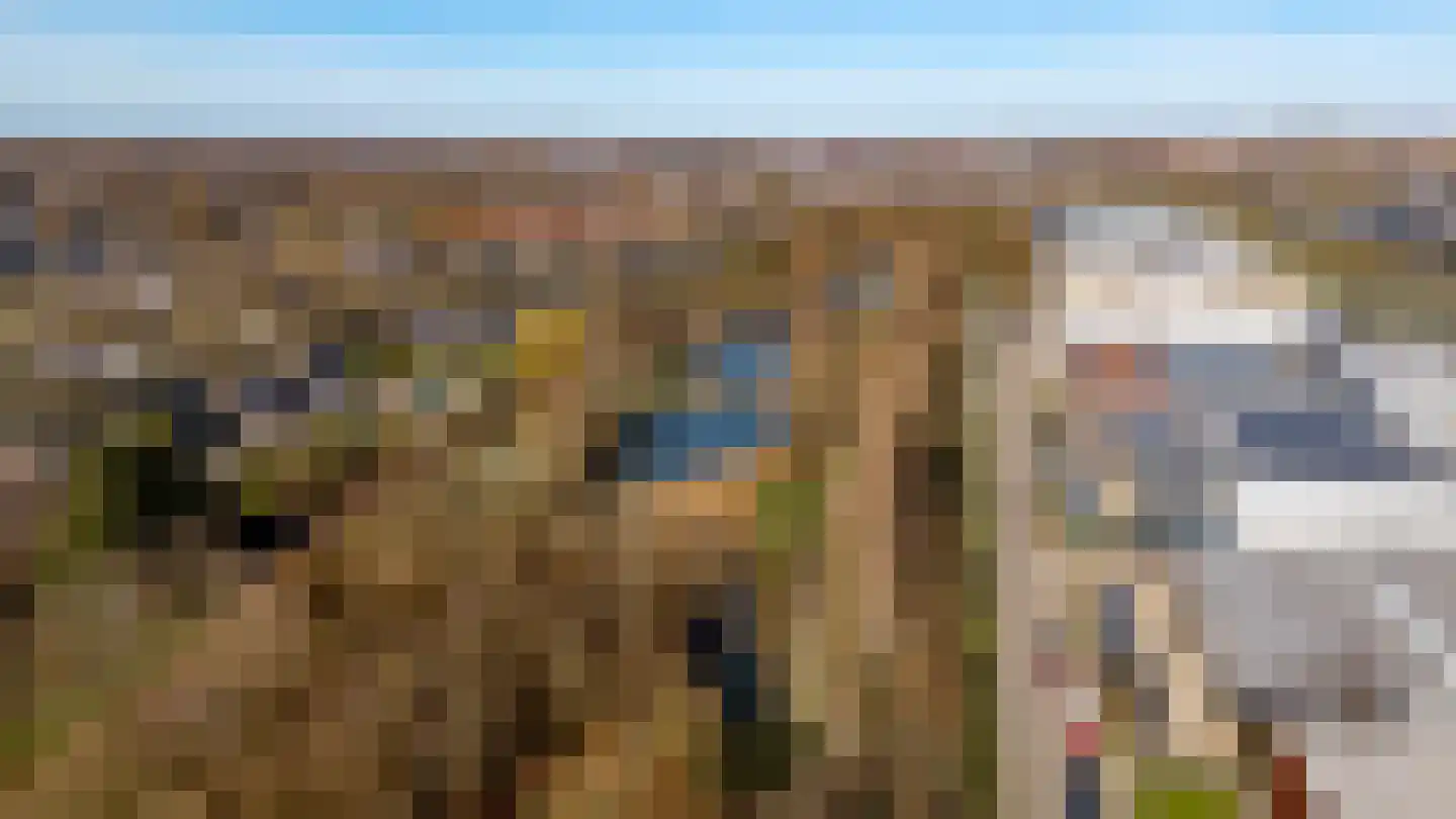 Lichtenberglaan 57 De Meern thumbnail 64