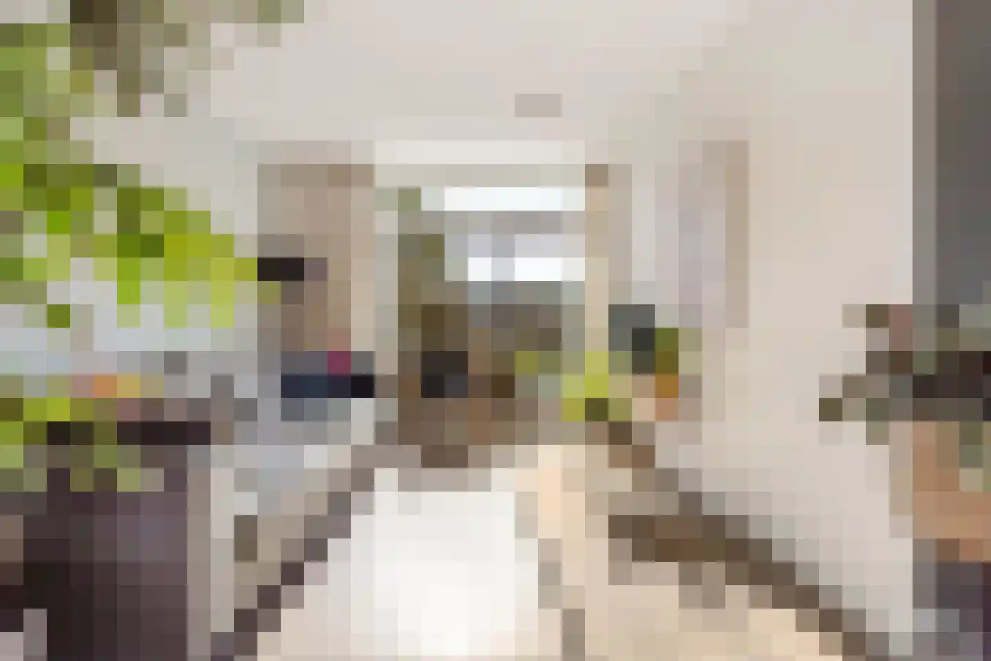 Lichtenberglaan 57 De Meern thumbnail 8