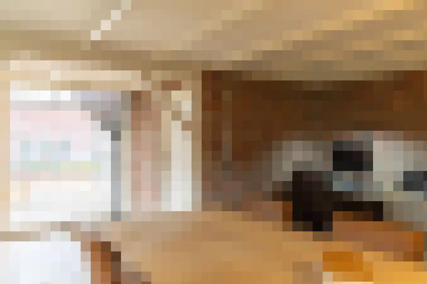 Lichtenbergseweg 20 Silvolde thumbnail 11