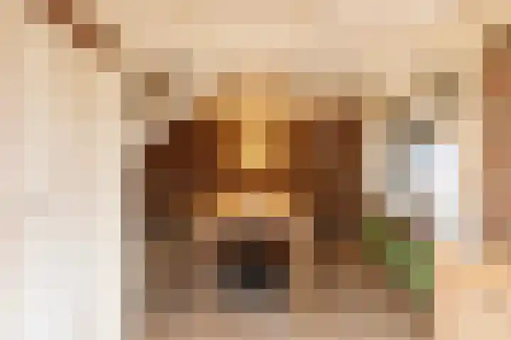 Lichtenbergseweg 20 Silvolde thumbnail 13