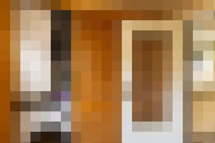 Lichtenbergseweg 20 Silvolde thumbnail 18