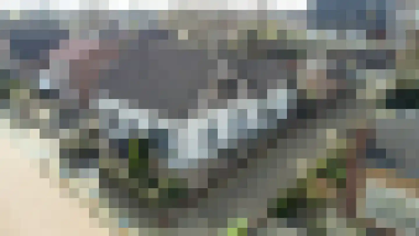 Lichtenbergseweg 20 Silvolde foto 2