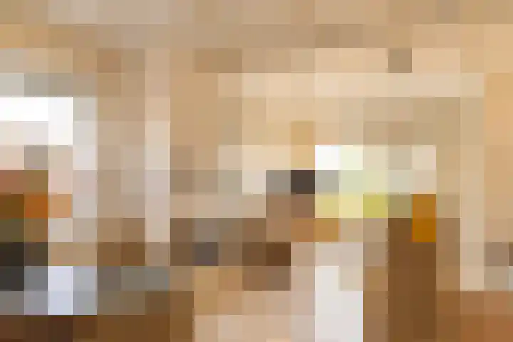 Lichtenbergseweg 20 Silvolde thumbnail 21