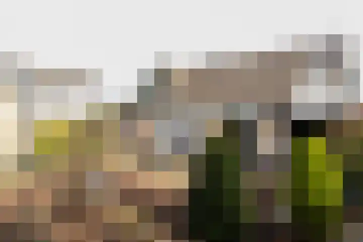 Lichtenbergseweg 20 Silvolde thumbnail 37