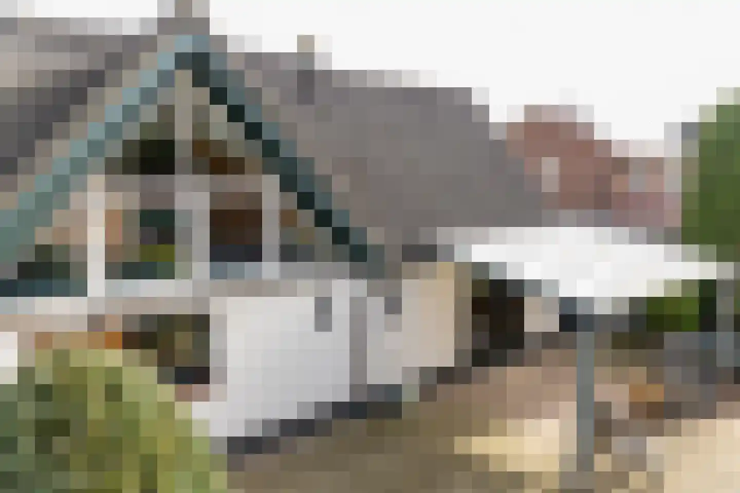 Lichtenbergseweg 20 Silvolde thumbnail 38