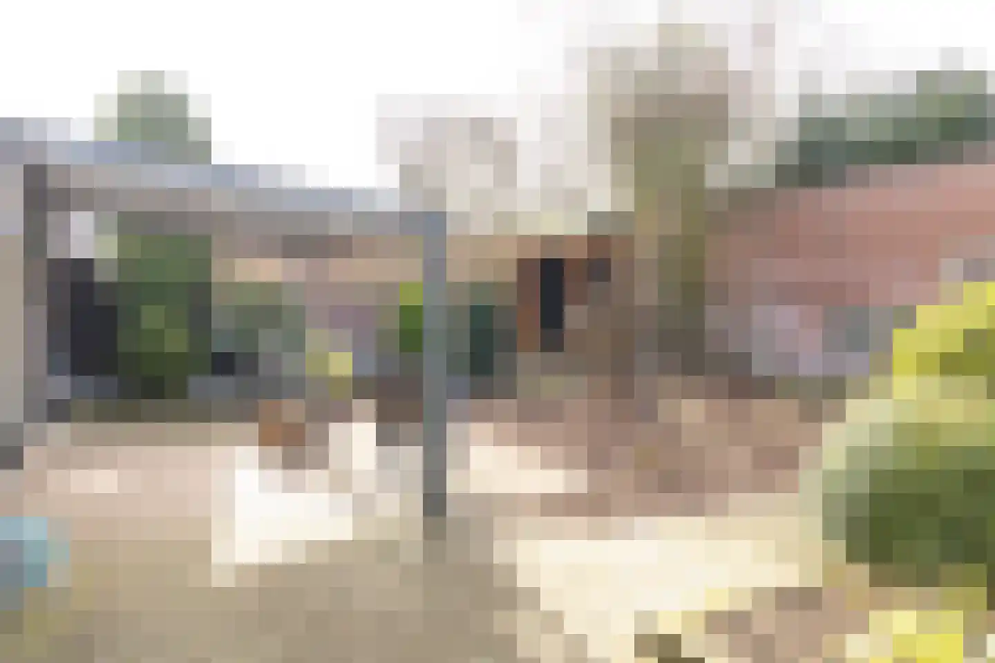 Lichtenbergseweg 20 Silvolde thumbnail 39